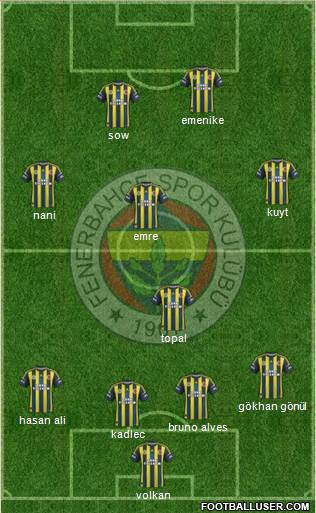 Fenerbahçe SK Formation 2013