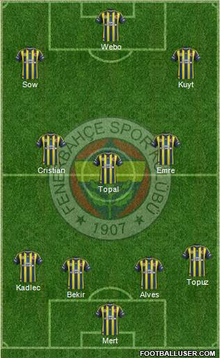 Fenerbahçe SK Formation 2013