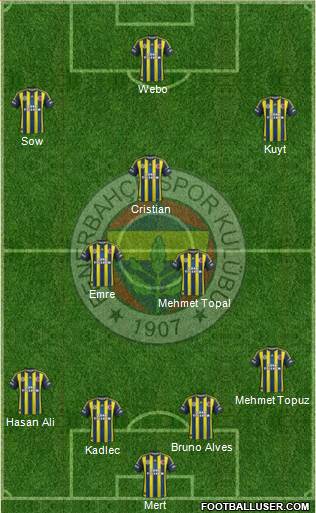 Fenerbahçe SK Formation 2013