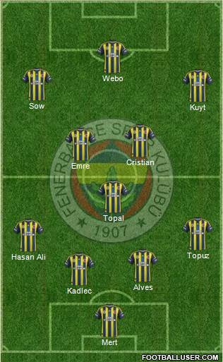 Fenerbahçe SK Formation 2013