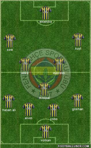 Fenerbahçe SK Formation 2013