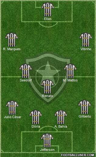 Botafogo FR Formation 2013