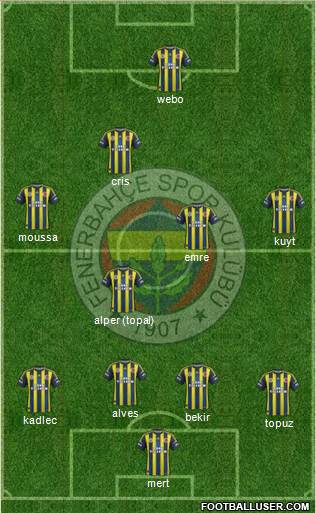 Fenerbahçe SK Formation 2013