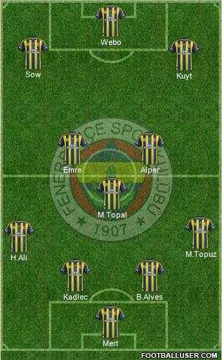 Fenerbahçe SK Formation 2013