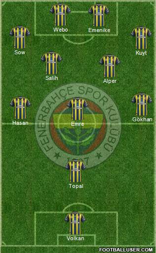 Fenerbahçe SK Formation 2013