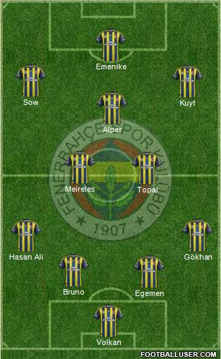 Fenerbahçe SK Formation 2013