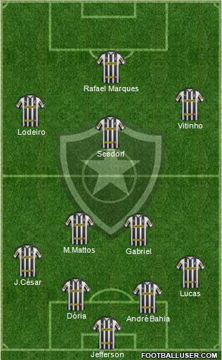 Botafogo FR Formation 2013