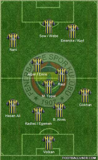 Fenerbahçe SK Formation 2013