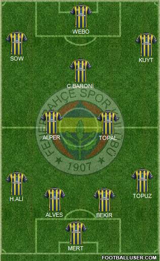 Fenerbahçe SK Formation 2013