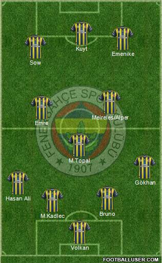 Fenerbahçe SK Formation 2013