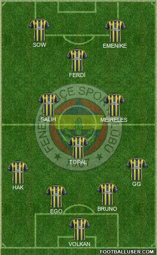 Fenerbahçe SK Formation 2013