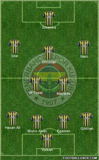Fenerbahçe SK Formation 2013