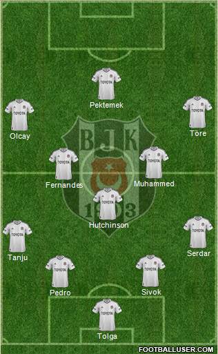Besiktas JK Formation 2013