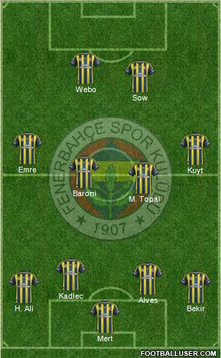 Fenerbahçe SK Formation 2013