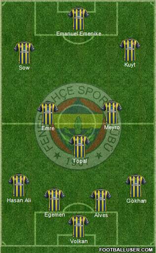 Fenerbahçe SK Formation 2013