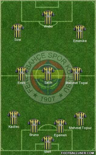 Fenerbahçe SK Formation 2013