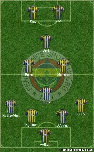 Fenerbahçe SK Formation 2013