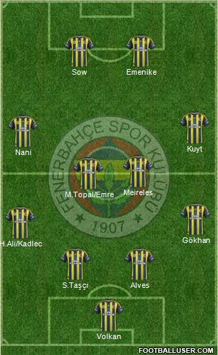 Fenerbahçe SK Formation 2013