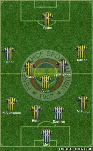 Fenerbahçe SK Formation 2013