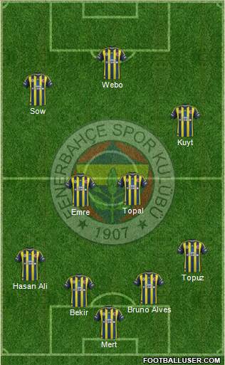 Fenerbahçe SK Formation 2013