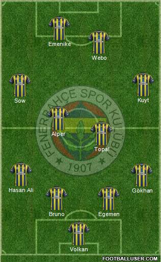 Fenerbahçe SK Formation 2013