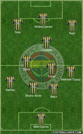 Fenerbahçe SK Formation 2013