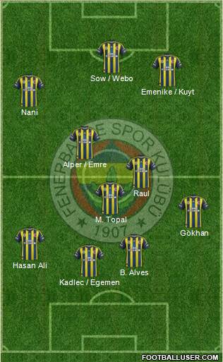Fenerbahçe SK Formation 2013