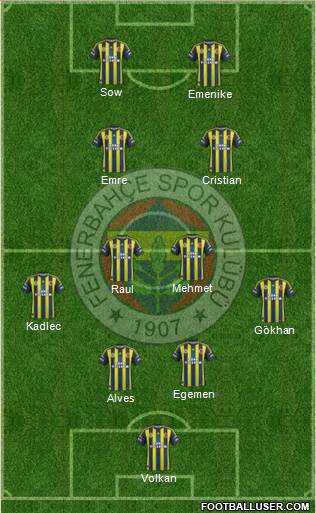 Fenerbahçe SK Formation 2013