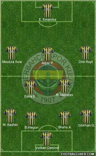 Fenerbahçe SK Formation 2013