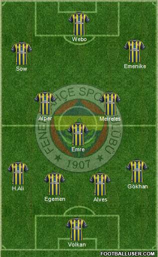 Fenerbahçe SK Formation 2013