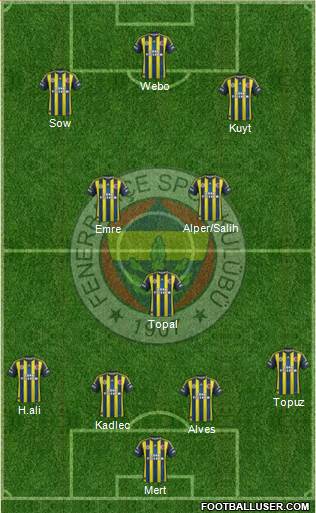 Fenerbahçe SK Formation 2013