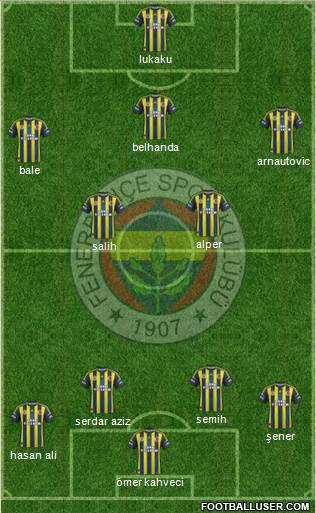 Fenerbahçe SK Formation 2013