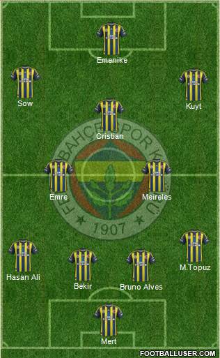 Fenerbahçe SK Formation 2013