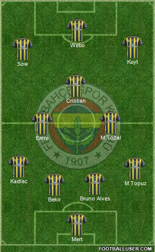 Fenerbahçe SK Formation 2013