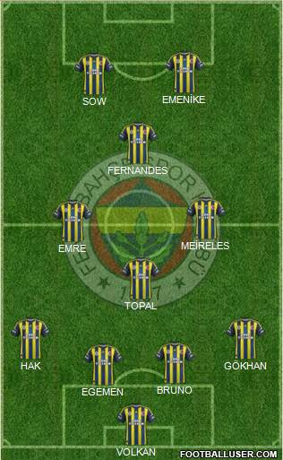 Fenerbahçe SK Formation 2013