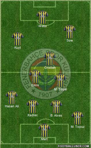 Fenerbahçe SK Formation 2013