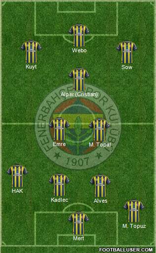 Fenerbahçe SK Formation 2013