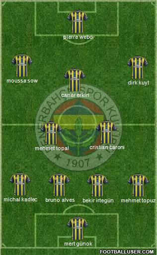Fenerbahçe SK Formation 2013