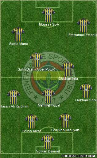 Fenerbahçe SK Formation 2013