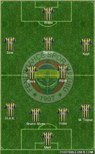 Fenerbahçe SK Formation 2013
