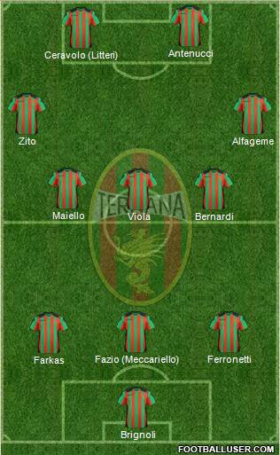 Ternana Formation 2013