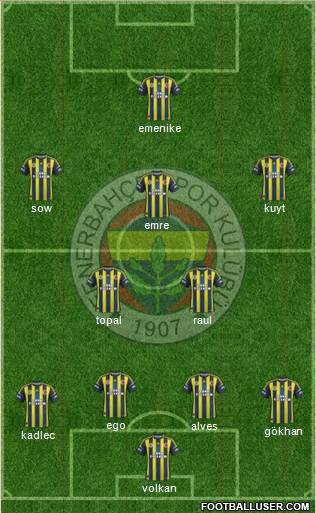 Fenerbahçe SK Formation 2013