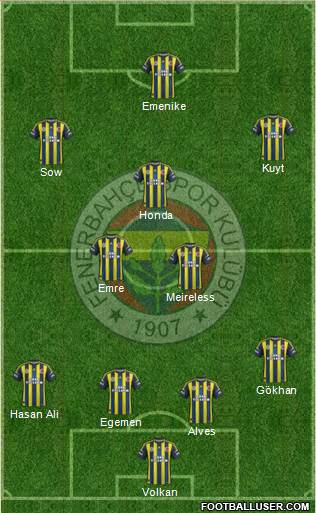 Fenerbahçe SK Formation 2013