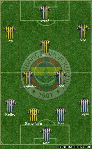 Fenerbahçe SK Formation 2013