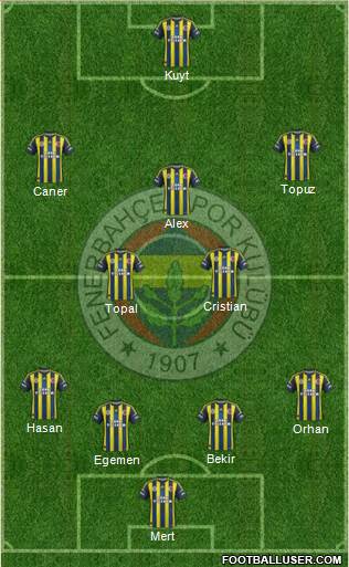 Fenerbahçe SK Formation 2013
