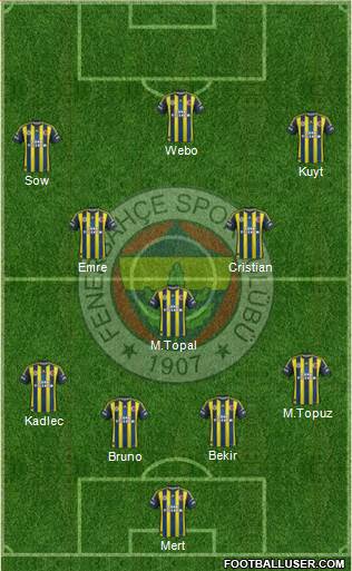 Fenerbahçe SK Formation 2013