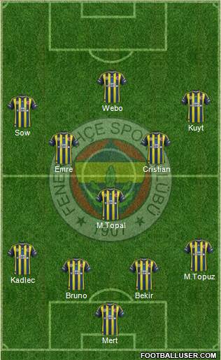 Fenerbahçe SK Formation 2013