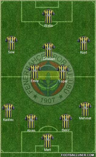 Fenerbahçe SK Formation 2013