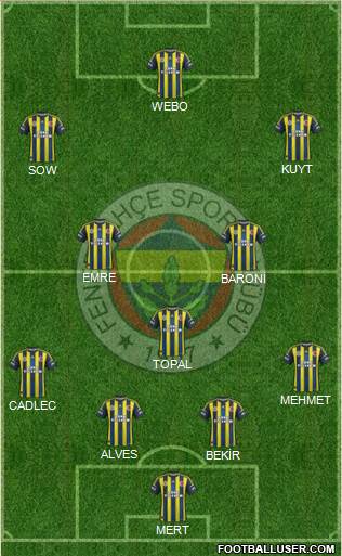 Fenerbahçe SK Formation 2013