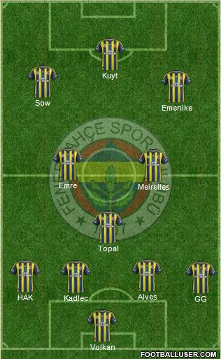 Fenerbahçe SK Formation 2013